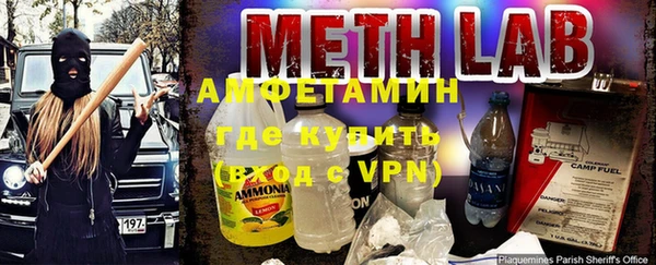 ПСИЛОЦИБИНОВЫЕ ГРИБЫ Инсар